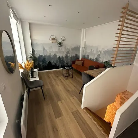 Modern And Warm Fully Renovated Split Level Apart Steps Away From The Grands Boulevard